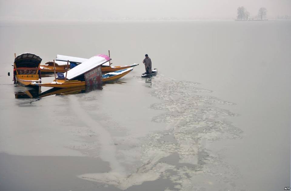 The floating gardens, known as "Rad" in Kashmiri, are one of the stranger aspects of Dal Lake
