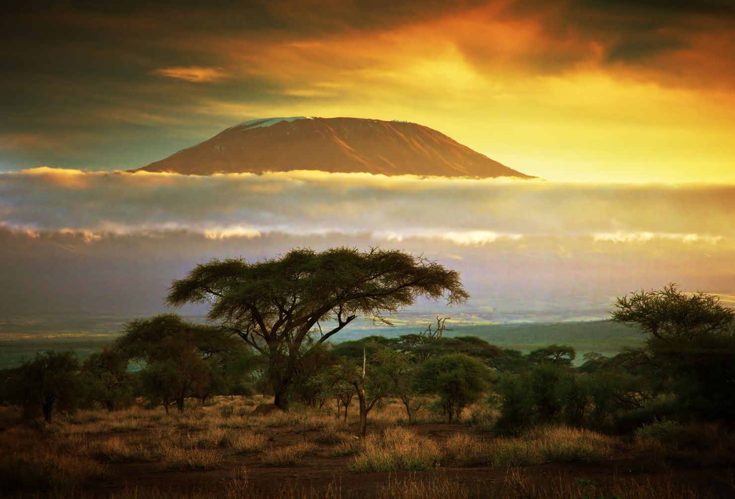 Mt Kilimanjaro, Africa's highest mountain