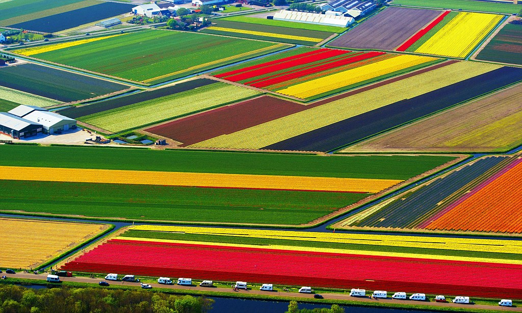 Netherlands, it is easy to picture never-ending fields of brightly coloured flowers