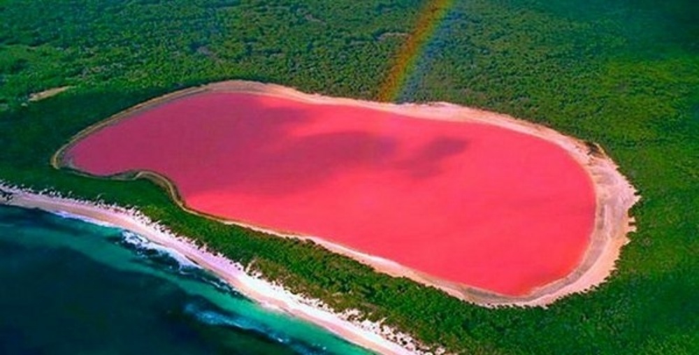 Lake Hillier’s color, like that of the other lakes, is the result of high salinity combined