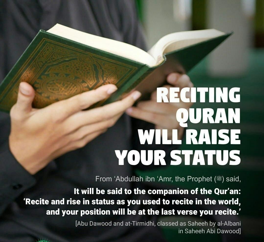 Quran brings comfort and peace