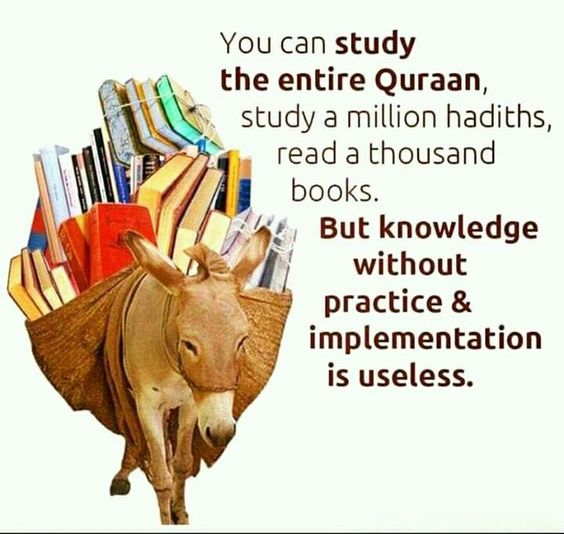 Knowledge protects us from many difficulties